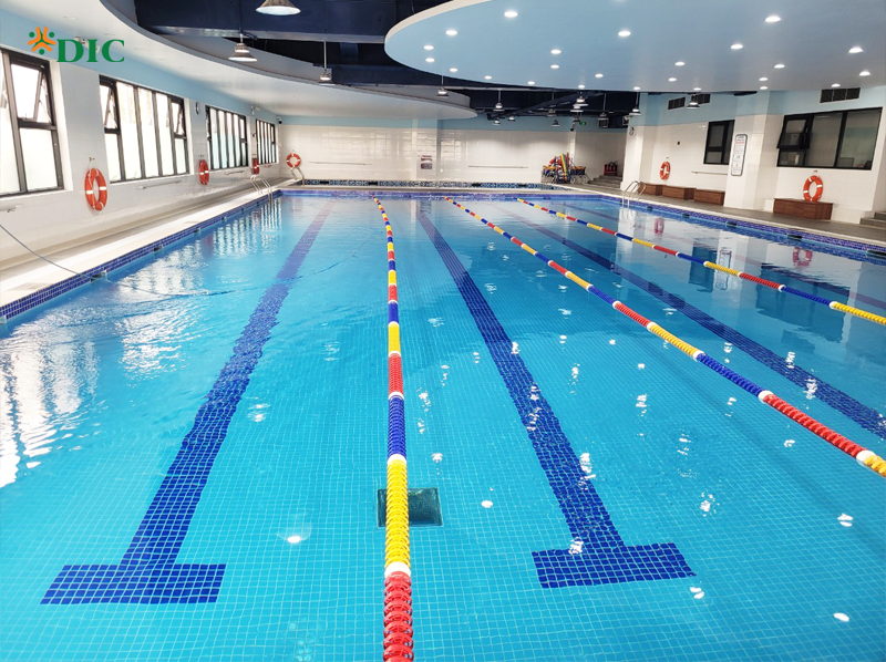 bể bơi thi đấu