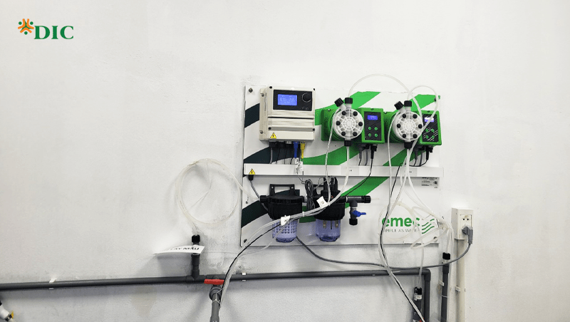 Tiểu học, THCS Tây Hồ Tây