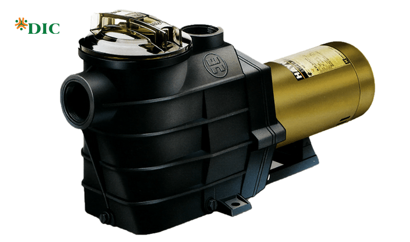 công nghệ bể bơi bốn mùa