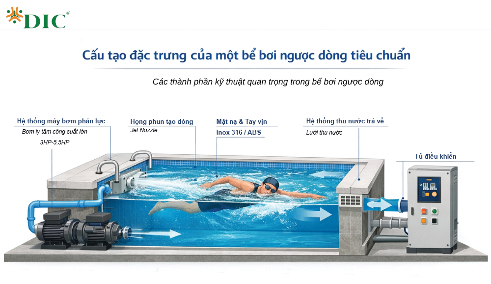 bể bơi ngược dòng