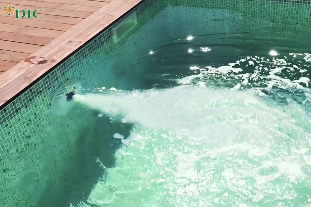 bể bơi ngược dòng