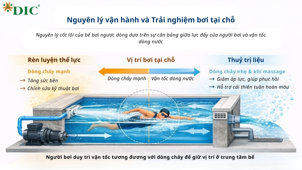 bể bơi ngược dòng