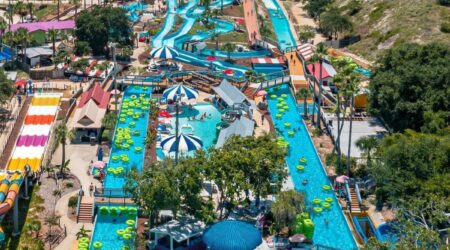 Trang chủ Dictech 2