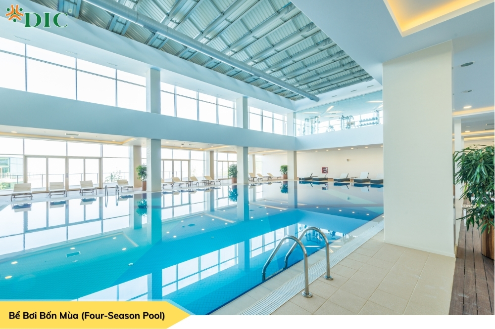 Bể bơi kinh doanh bốn mùa là phương án tối ưu, có thể hoạt động quanh năm không lo thời tiết