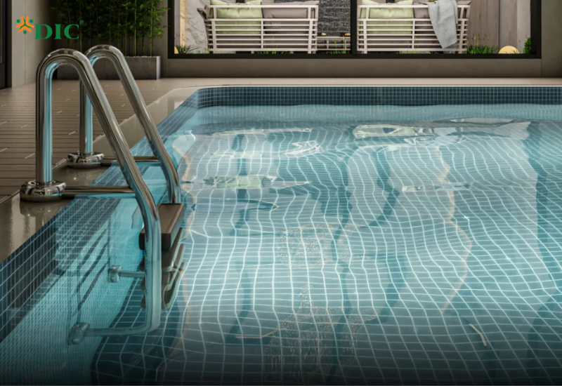 thiết kế và thi công bể bơi