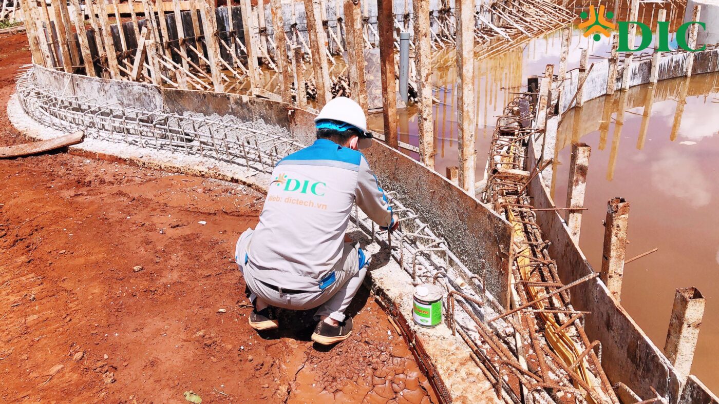 Công ty Cổ phần Đầu tư DIC