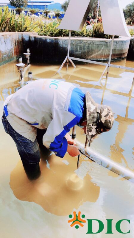 Công ty Cổ phần Đầu tư DIC