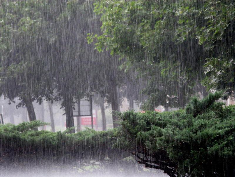 Hướng dẫn cách xử lý nước bể bơi mùa mưa đúng cách từ A đến Z